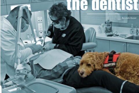A dog with dentists