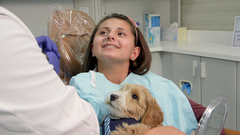Puppy holding by dentist patient
