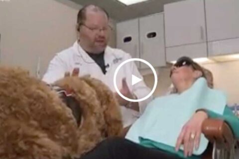 Dr. Theodorou treating the patient with the dog along video thumbnail